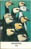 The Wildfowl Trust report, vol. 23.. Collectif,