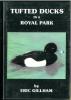 Tufted ducks in a royal park.. Gillham, Eric