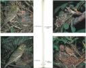 Les oiseaux des jardins et des bois, comment les observer, les reconnaître et les protéger.. Henze, O. & G. Zimmermann