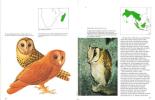 Owls of the world, their evolution, structure and ecology.. Burton, J.A. et al.