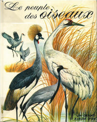 Le peuple des oiseaux.