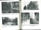 Book Picture