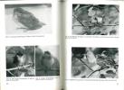 Book Picture