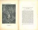L'Oiseau et la Revue Fran&ccedil;aise d'Ornithologie, nouvelle s&eacute;rie, vol. XIX : n&deg; 1.. Collectif,
