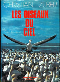 Les oiseaux du ciel.