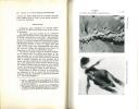 L'Oiseau et la Revue Française d'Ornithologie, vol. XXII : n° 4.. L'Oiseau et la Revue Française d'Ornithologie,