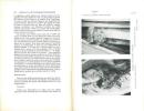 L'Oiseau et la Revue Française d'Ornithologie, vol. XXVI : n° 3/4.. L'Oiseau et la Revue Française d'Ornithologie,