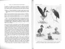 L'Oiseau et la Revue Française d'Ornithologie, vol. 49 : n° 1.. L'Oiseau et la Revue Française d'Ornithologie,