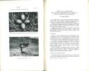 L'Oiseau et la Revue Française d'Ornithologie, vol. XXVII : n° 3.. L'Oiseau et la Revue Française d'Ornithologie,