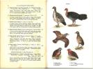 An australian bird book.. Leach, J.A.