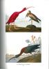 Le livre des oiseaux : Audubon.. Roux, F. & J. Dorst