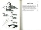 A field guide to australian birds, vol.1 : non-passerines.. Slater, Peter