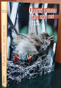 Quand l'oiseau fait son nid.