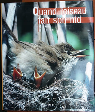 Quand l'oiseau fait son nid.. Bellani, G.G.