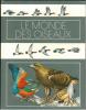 Le monde des oiseaux.. Perrins, C. & A. Cameron