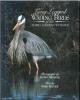 Long legged wading birds of the north american wetlands.. Riegner, M. & L. Niemeyer