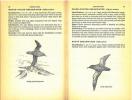 A field guide to the birds of the Galapagos.. Harris, Michael