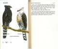 The birds of Tikal.. Smithe, F.B.