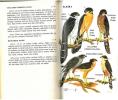 The birds of Tikal.. Smithe, F.B.