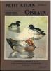Petit atlas des oiseaux, fasc. IV : bécasseaux, goélands, canards, hérons, impennes, ratites.. Delapchier, Louis