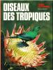 Book Picture
