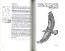 Birds of the great plains,breeding species and their distribution.. Johnsgard, P.A.