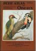 Petit atlas des oiseaux, fasc. II : passereaux (fin), rolliers, pics, perroquets, rapaces nocturnes.. Delapchier, Louis