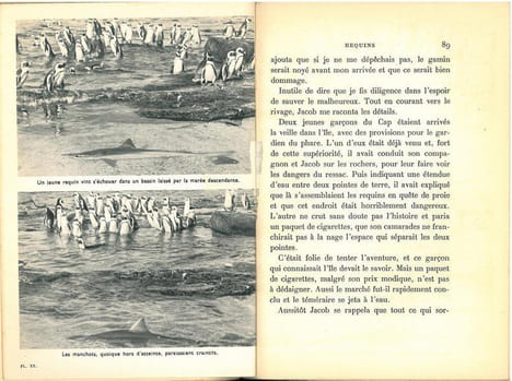 L'île des manchots.. Kearton, C.