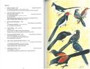 A field guide to the birds of Sri Lanka.. Kotagama, S. & P. Fernando