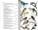 A field guide to the birds of Sri Lanka.. Kotagama, S. & P. Fernando