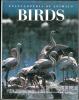Encyclopedia of animals, birds.. Forshaw, J.M. et al.