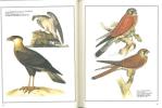 Les oiseaux du monde, dessins et gravures du XIX° siècle.. Aramata, Hiroshi