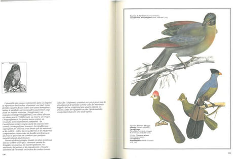 Les oiseaux du monde, dessins et gravures du XIX° siècle.. Aramata, Hiroshi