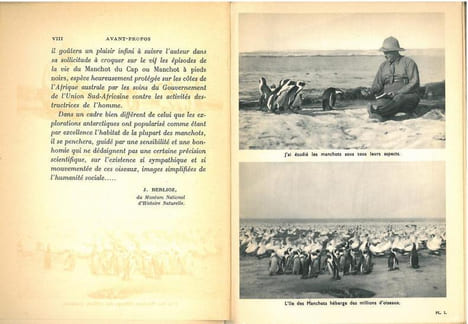 L'île des manchots.. Kearton, C.