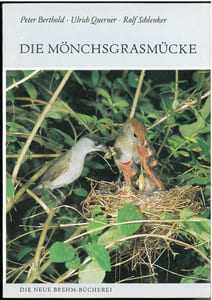 Die Mönchsgrasmücke (Sylvia atricapilla).