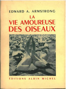 La vie amoureuse des oiseaux.