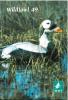 The Wildfowl Trust report, vol. 50.. Collectif,