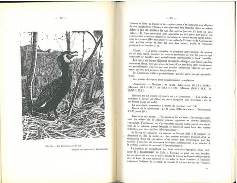 Les oiseaux d'eau de Belgique (à l'exception des anatidés et des échassiers).. Verheyen, René