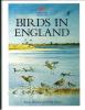 Birds in England.. Brown, A. & P. Grice