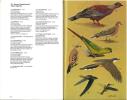 Guide to the birds of the Falkland islands.. Woods, R.W.