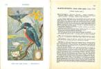 Les oiseaux de France, vol. 3, passereaux, tome 1.. Menegaux, Auguste