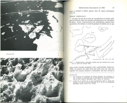 Recherches écologiques sur les oiseaux de l'archipel de Pointe Géologie.. Arnaud, Patrick et al.