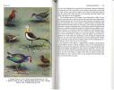 A guide to the birds of Sri Lanka.. Henry, G.M.