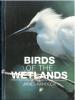 The birds of the wetlands.. Hancock, James