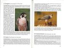 Birds of the south western Cape.. Frandsen, J.