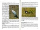 Birds of the south western Cape.. Frandsen, J.