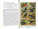 A guide to the birds of Ceylon.. Henry, G.M.