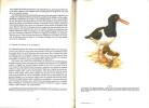 Les oiseaux nicheurs d'Europe, vol. 3, gallinacés, turnix, grues, outardes, rallidés, limicoles, laridés.. Geroudet, Paul & P. Barruel