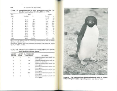 Breeding biology of the Adelie penguin.