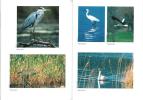 Les oiseaux du canton de Vaud.. Sermet, E. & P.-A. Ravussin